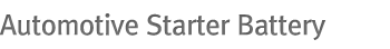 Automotive Starter Battery